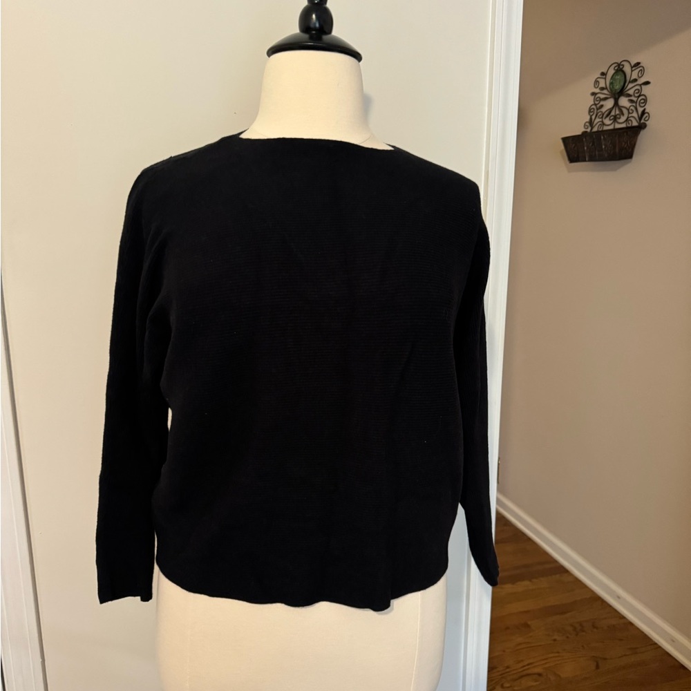 Rio & Rian. Size 1X Black sweater